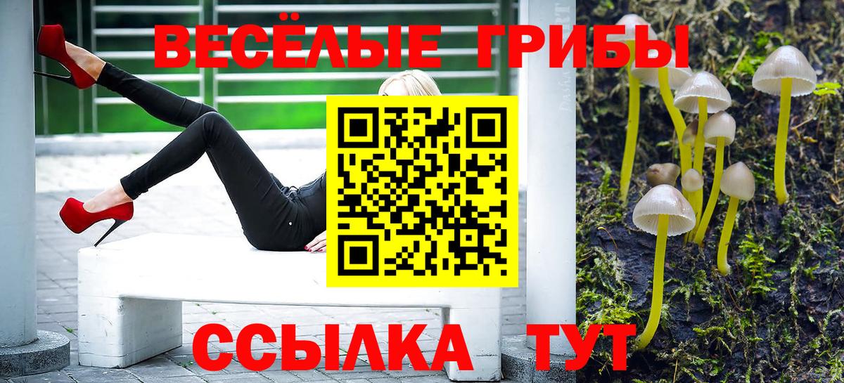 Каменка  Галлюциногенные грибы GOLDEN TEACHER  Вход с VPN 