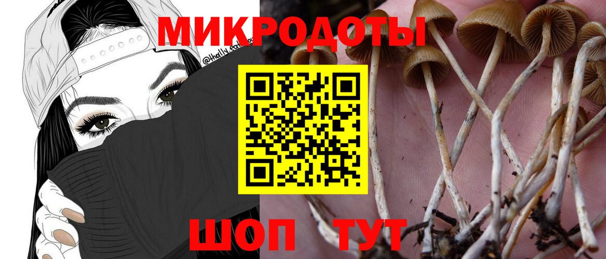 Псилоцибиновые грибы MAGIC MUSHROOMS Каменка
